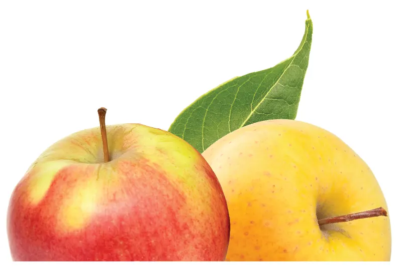 Tuttle Orchards
