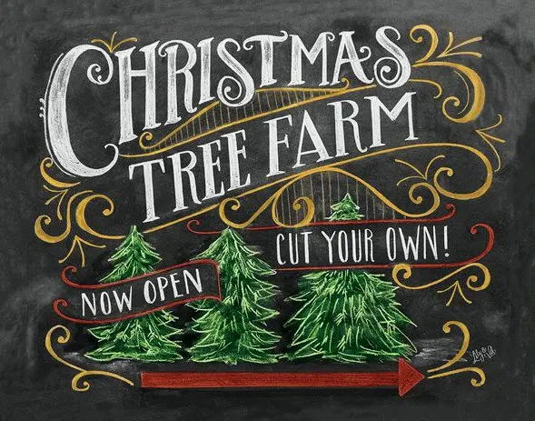 Twin H Tree Farms photo