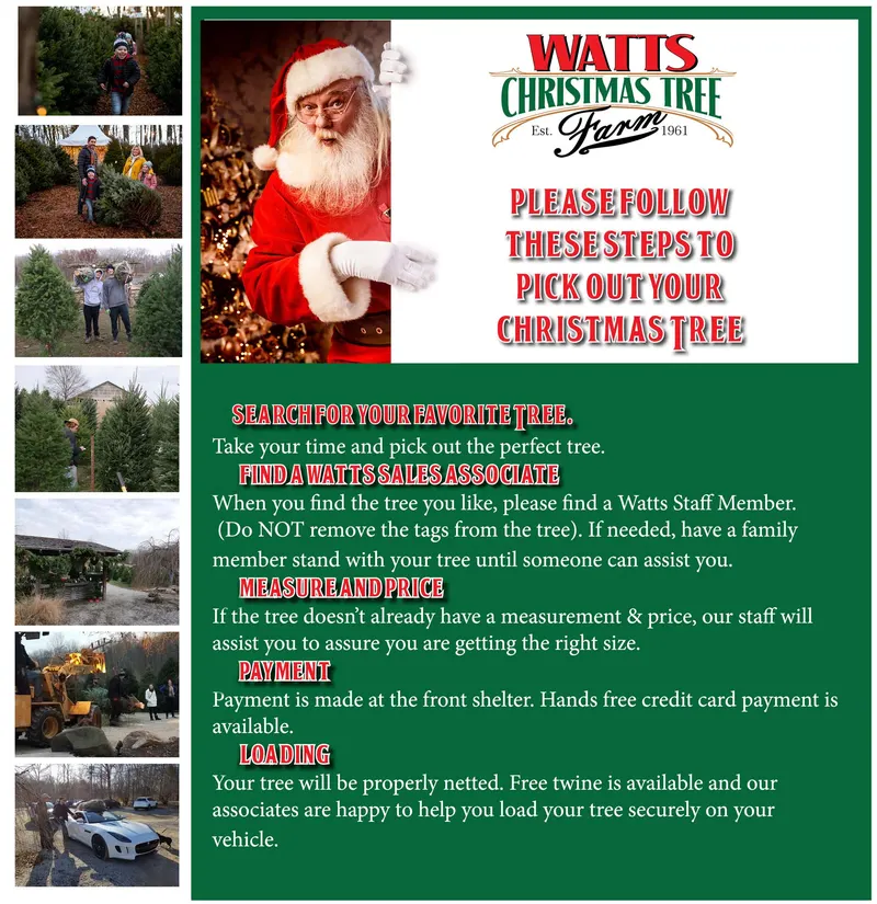Watts Christmas Tree Farm and Greenery photo