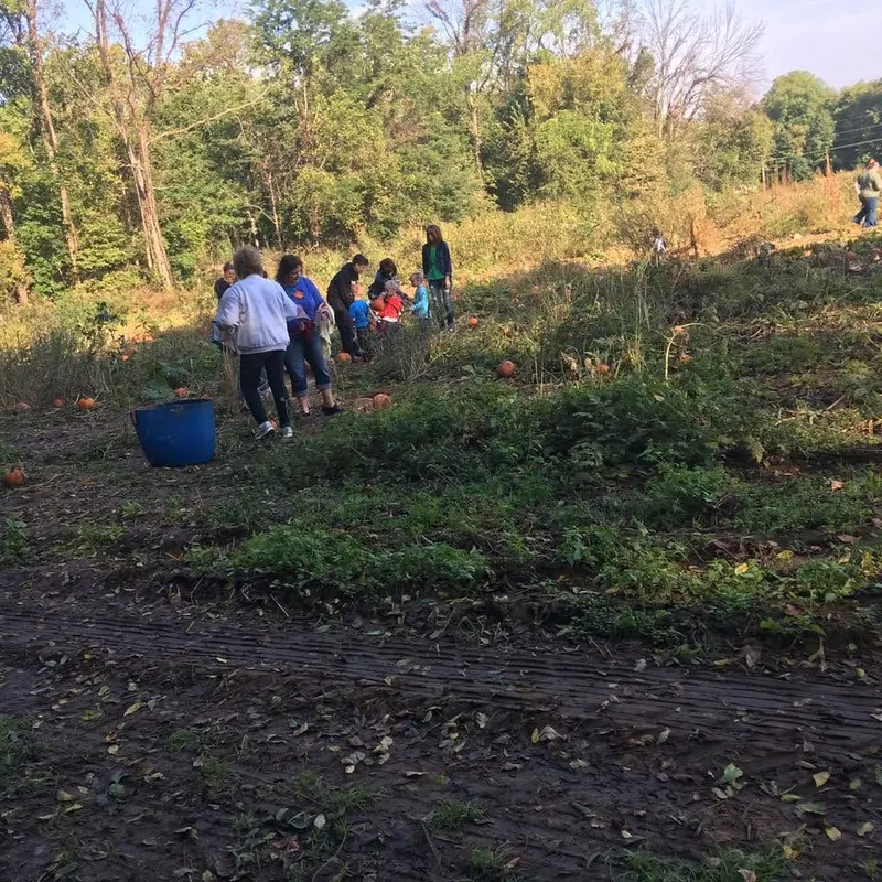 Yellow River Farms photo