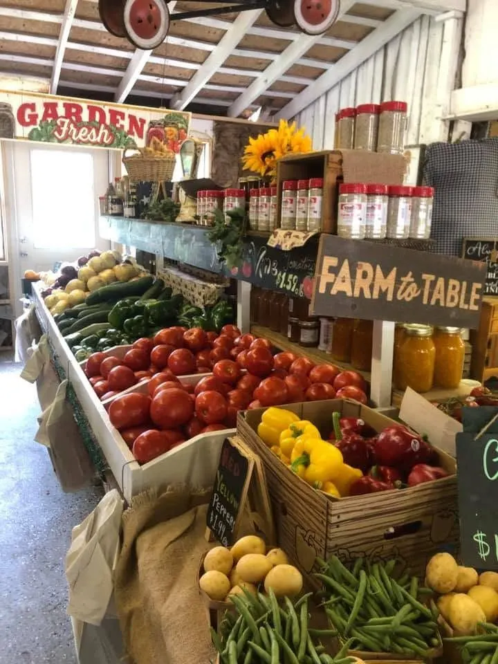 Yellow River Farms photo