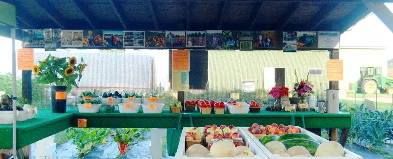29th Street Farm Stand