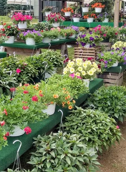 29th Street Farm Stand photo