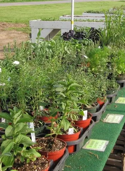 29th Street Farm Stand photo