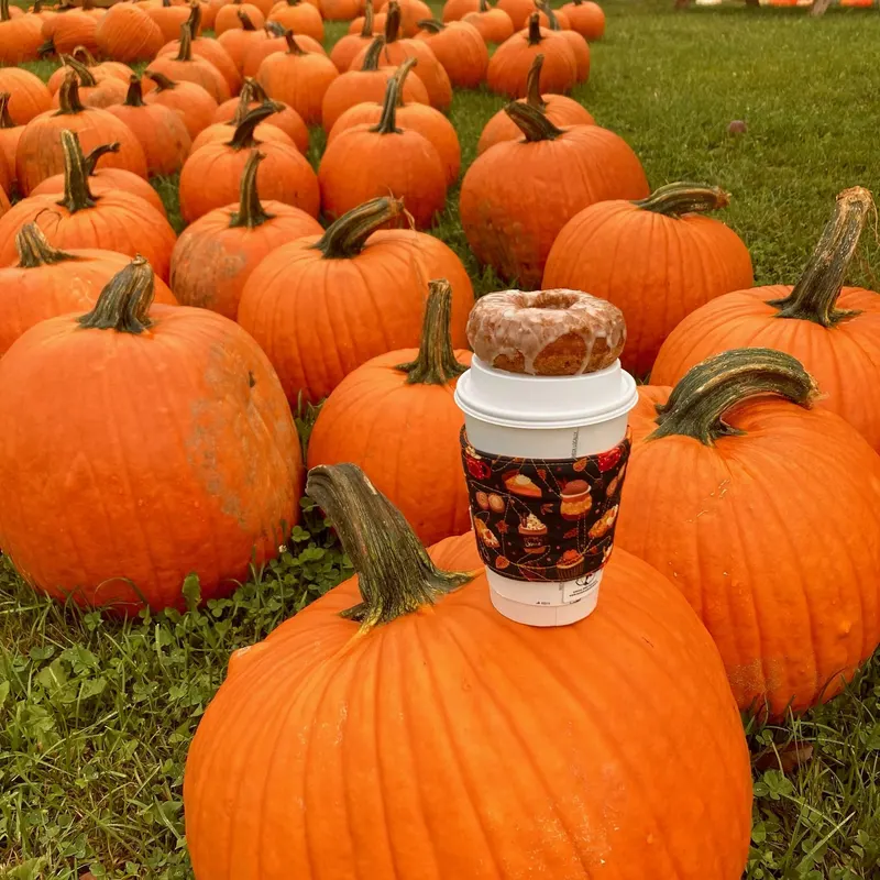 Alber Orchard & Cider Mill photo