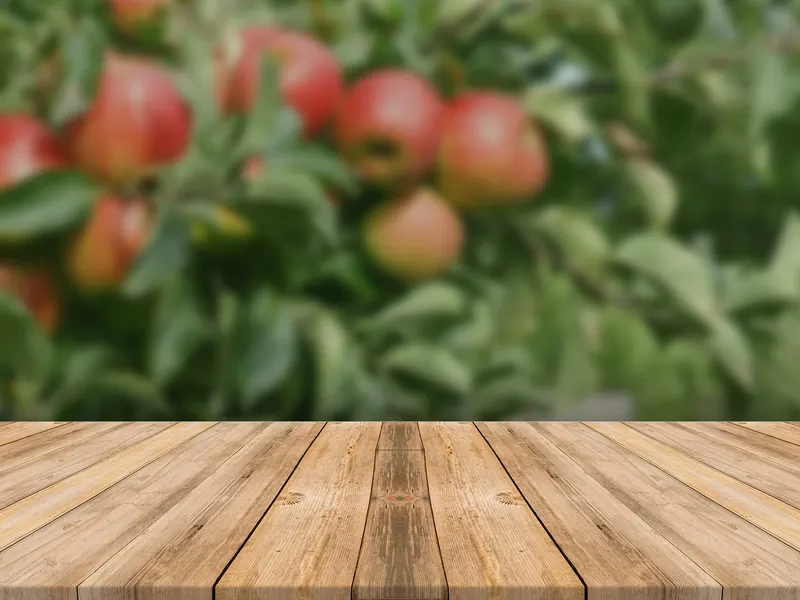 Almar Orchards Organic photo