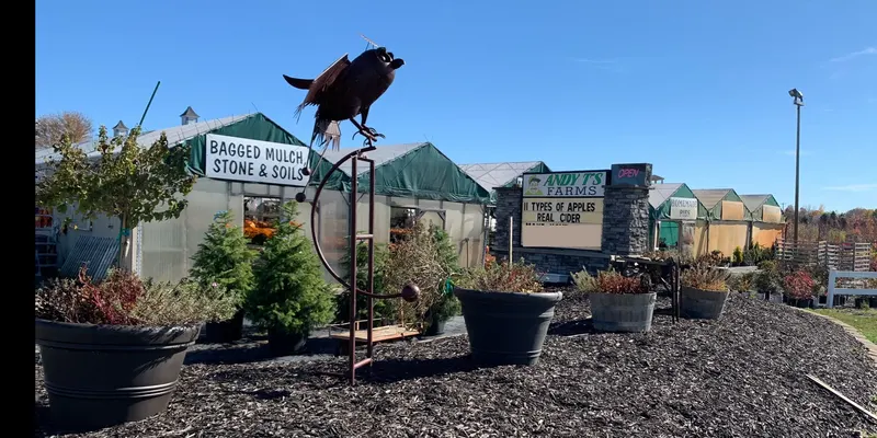 Andy T's Farm Market photo