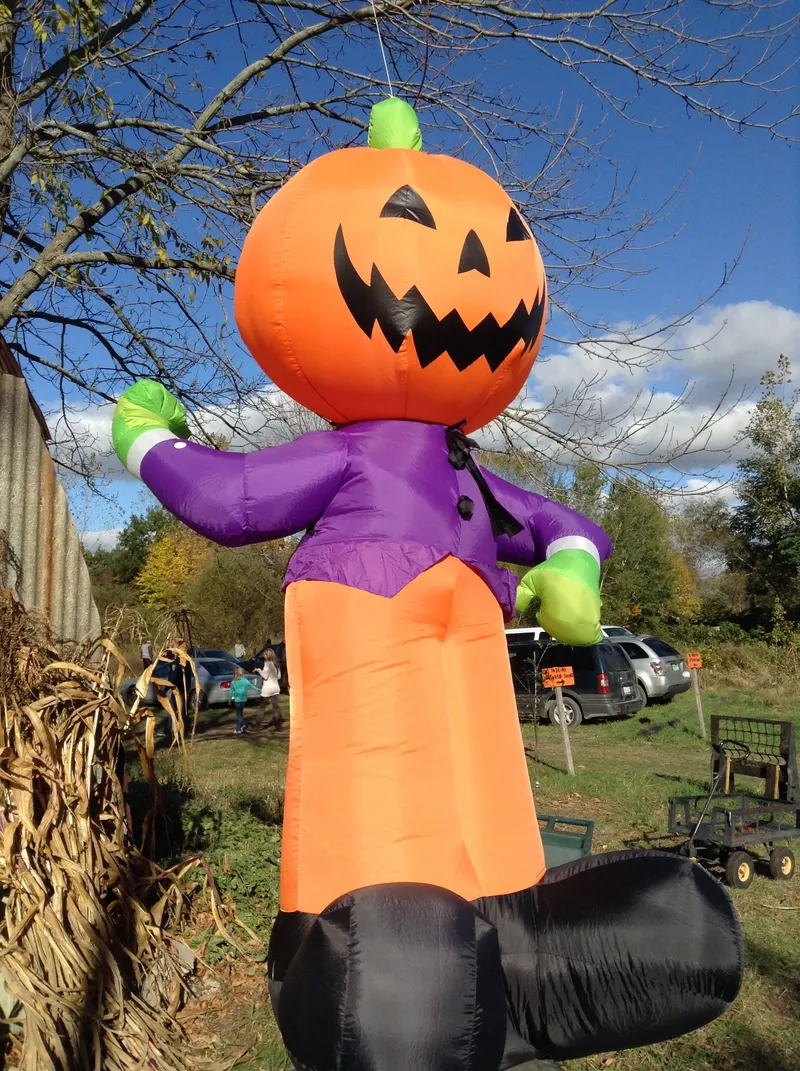 Bethke Farms - Pumpkin Patch