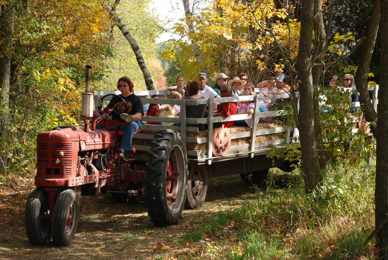 Bethke Farms - Pumpkin Patch photo