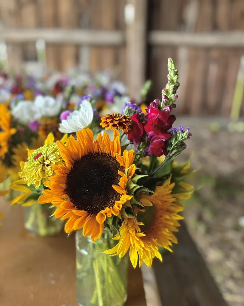 Bremer Produce U-Pick Flower Farm photo