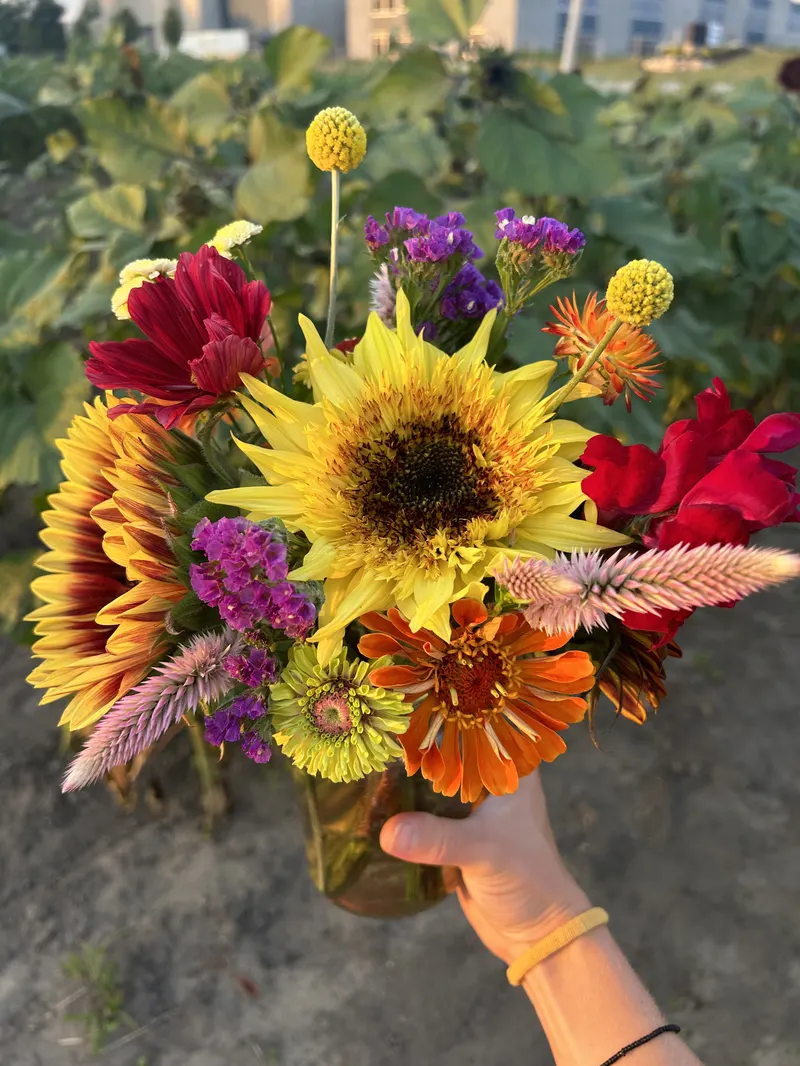 Bremer Produce U-Pick Flower Farm photo