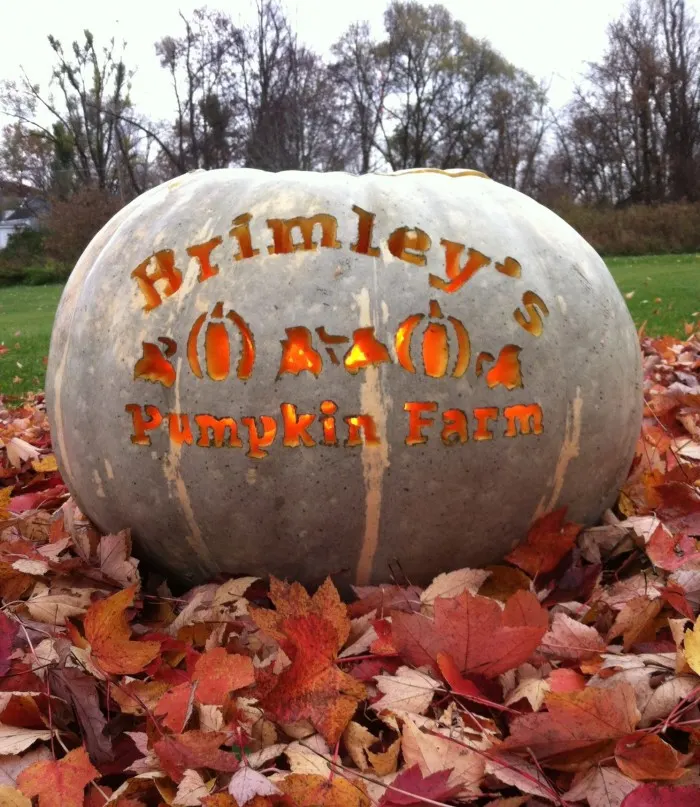 Brimley's Pumpkin Farm