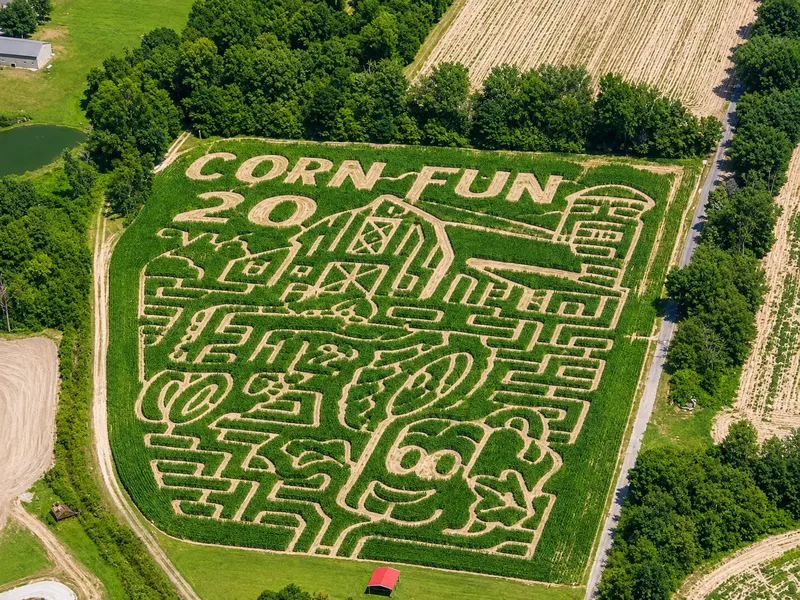 CornFun Corn Maze Adventure And Pumpkin Patch photo