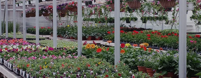 Cotant's Farm Market & Greenhouse Inc. photo