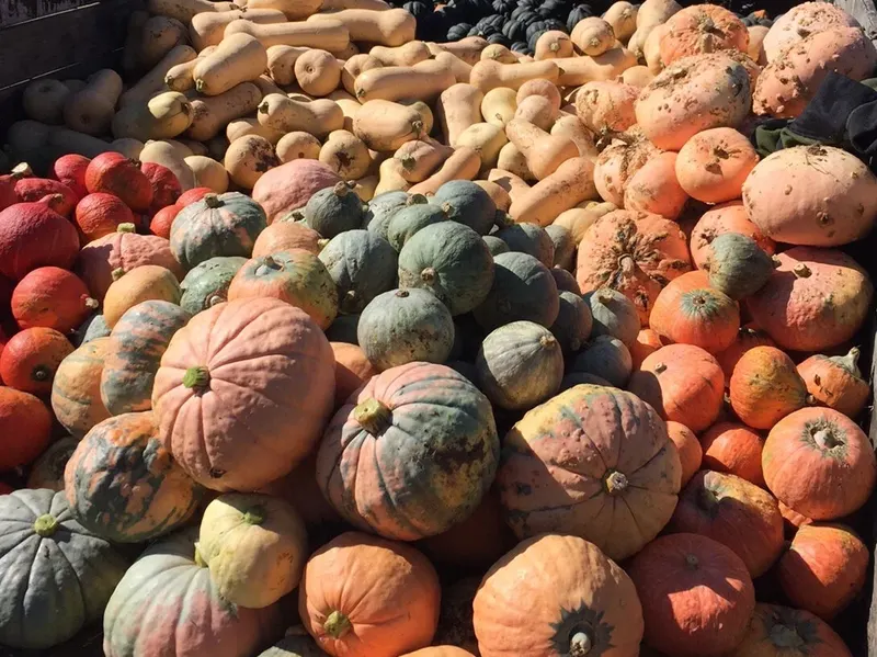 Earth First Farms photo