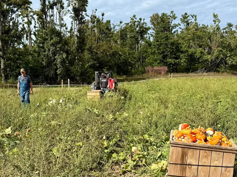 Fleming Farms Pumpkin Patch