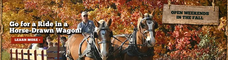 Fruit Ridge Hayrides