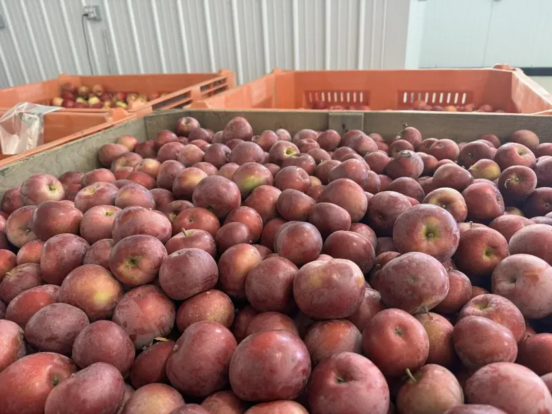 Grange Fruit Farm photo