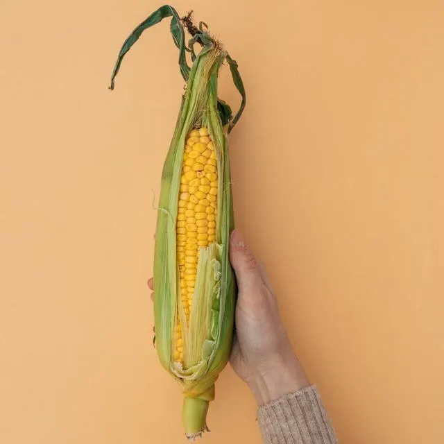 Harvest Time Farm Market photo