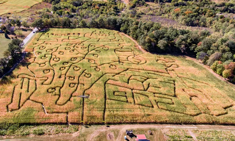 Heidi's Farmstand and Bakery photo