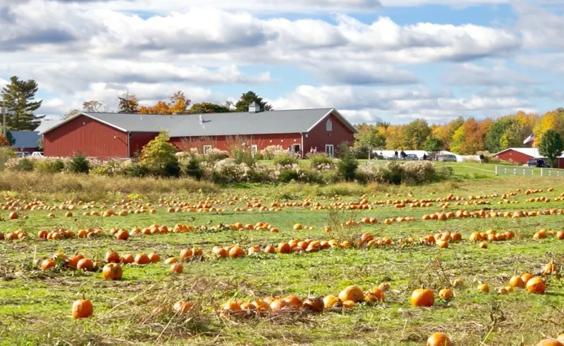 Heritage Farms Market