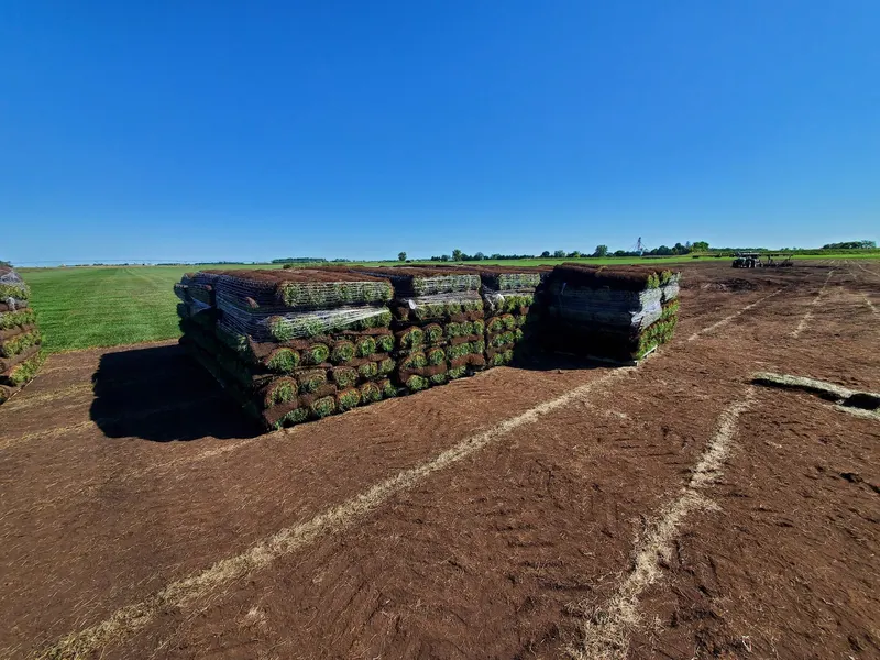 Huggett Harvest Farms photo