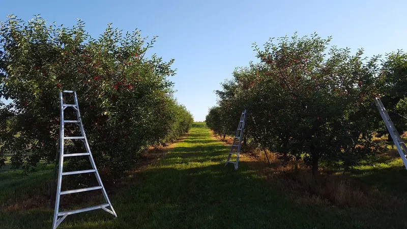Joe Gavin Orchards photo