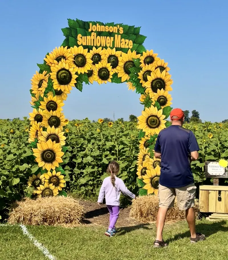 Johnson's Pumpkin Farm photo