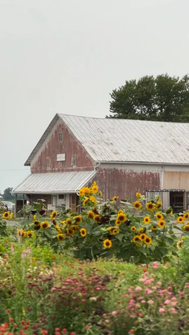 Kreps Apple Barn & Cider Mill photo