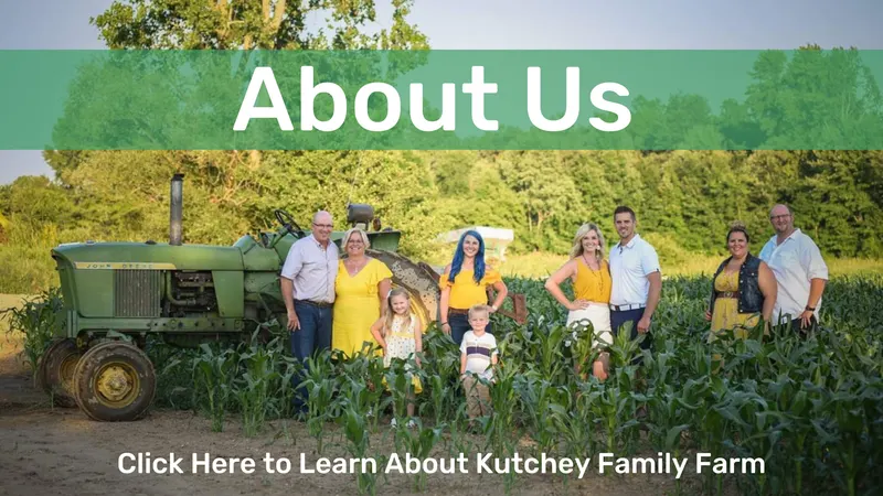 Kutchey Family Farm photo