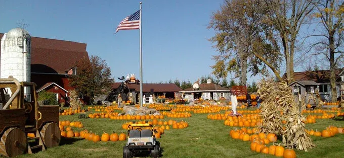 Maxwell's Pumpkin Farm