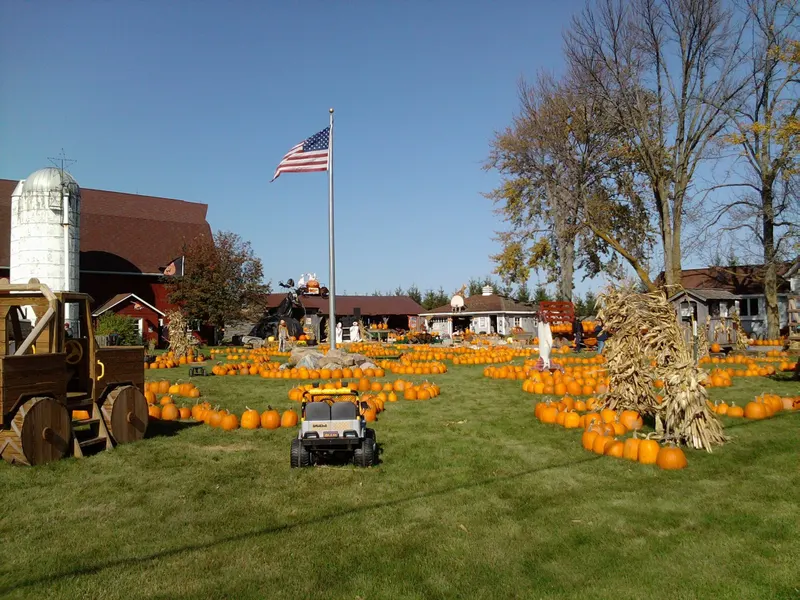 Maxwell's Pumpkin Farm photo