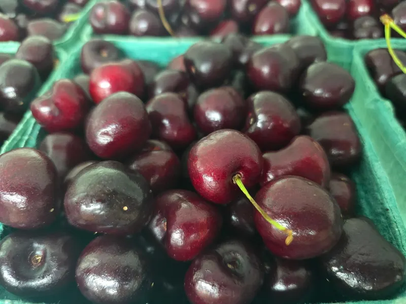 Montrose Orchards photo