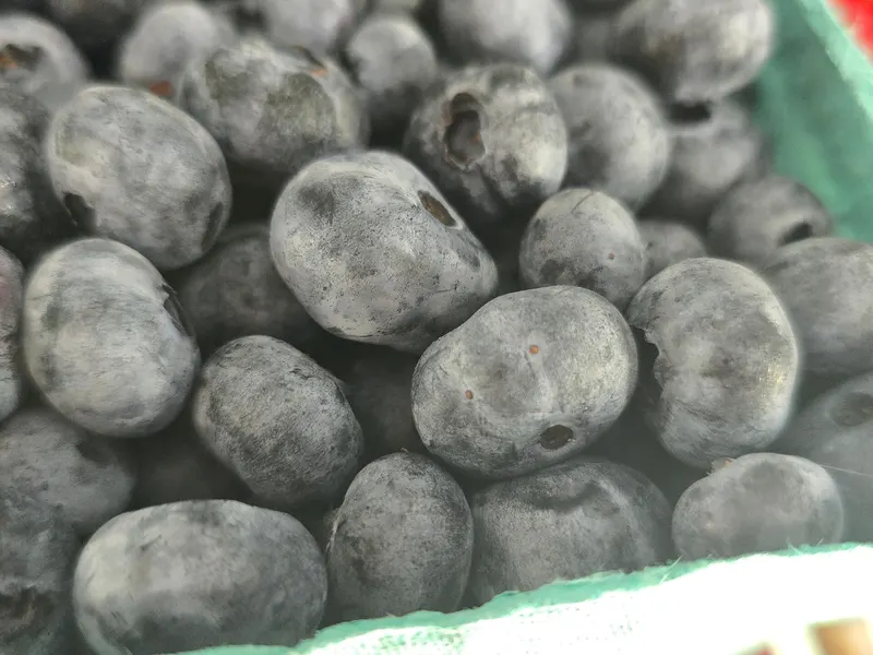 Montrose Orchards photo