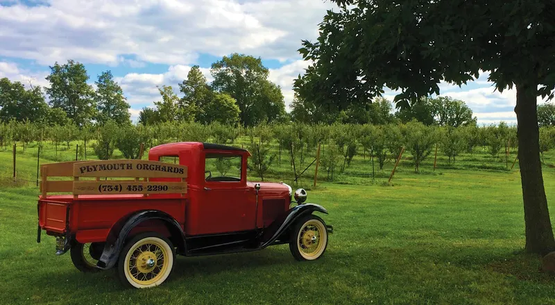 Plymouth Orchards & Cider Mill