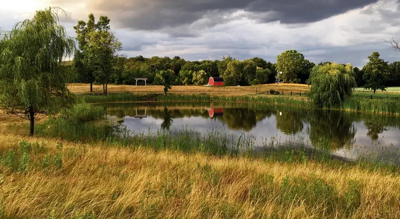 Plymouth Orchards & Cider Mill photo