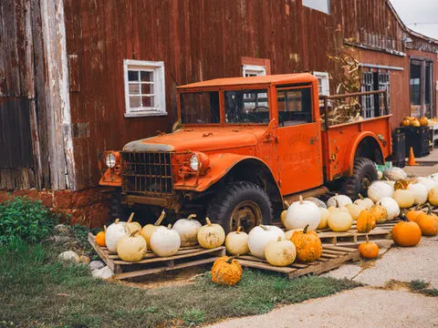 Red Egg Farm photo