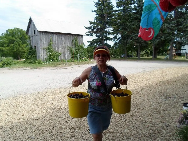 Rennie Orchards