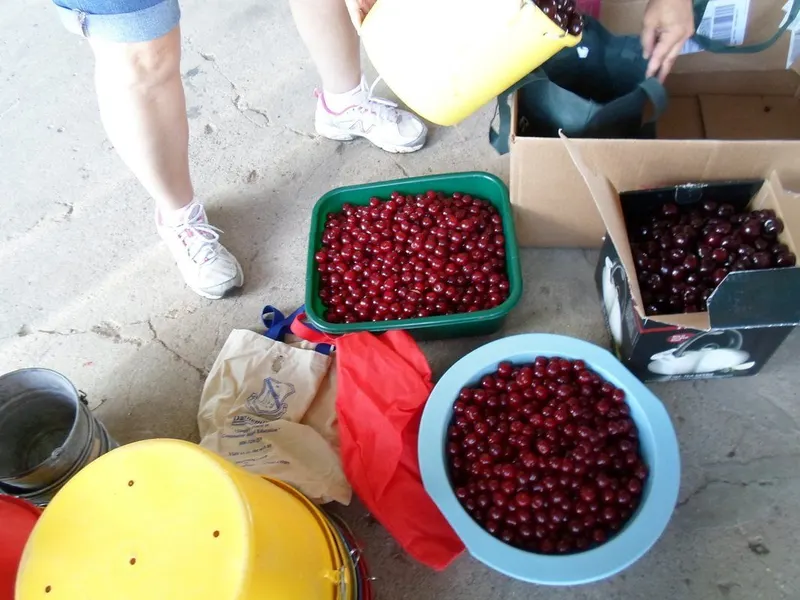 Rennie Orchards photo