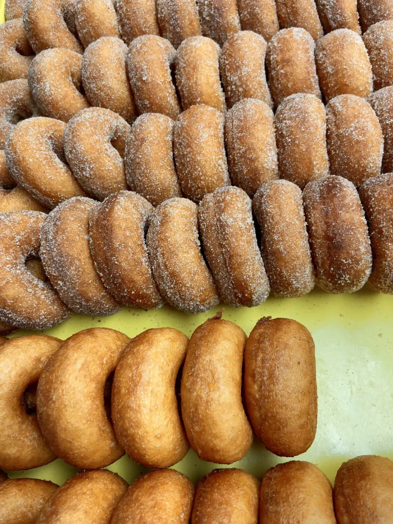 Rochester Cider Mill photo