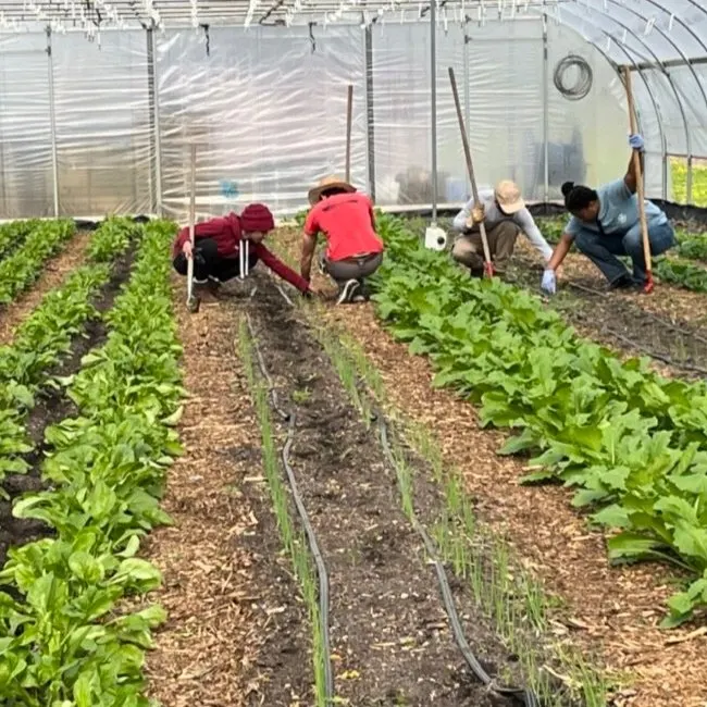 Slow Farm photo
