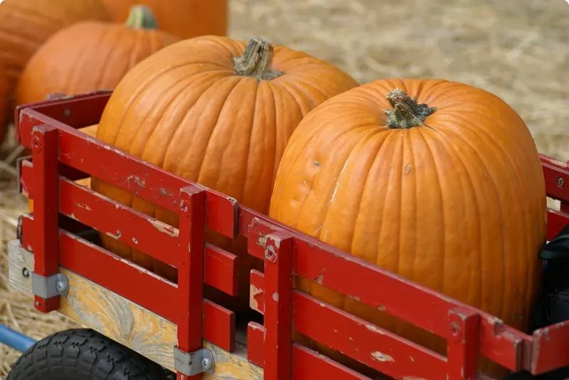 Stickley Family Farms photo