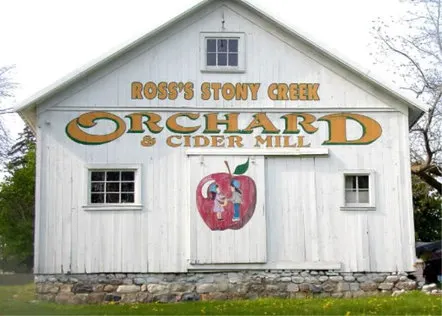 Stony Creek Orchard & Cider Mill photo