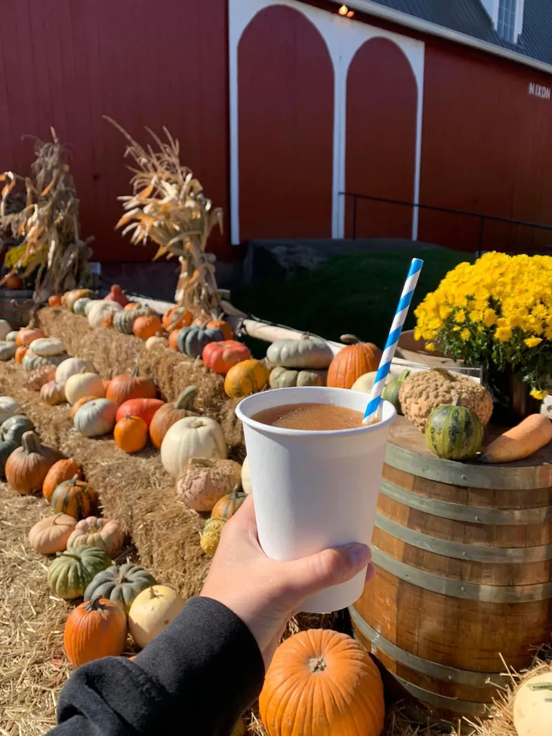 The Blast Corn Maze