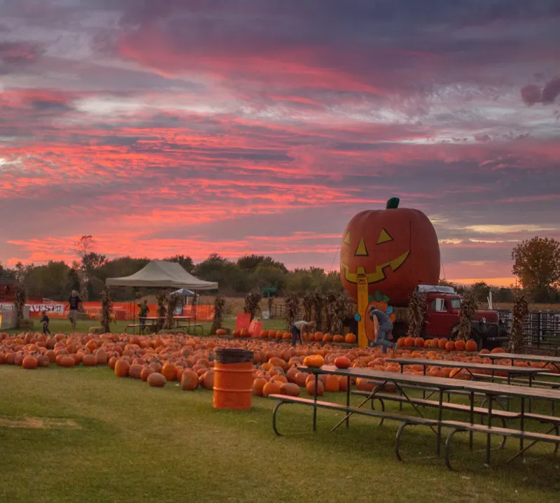 Trabbic Pumpkin Farm photo