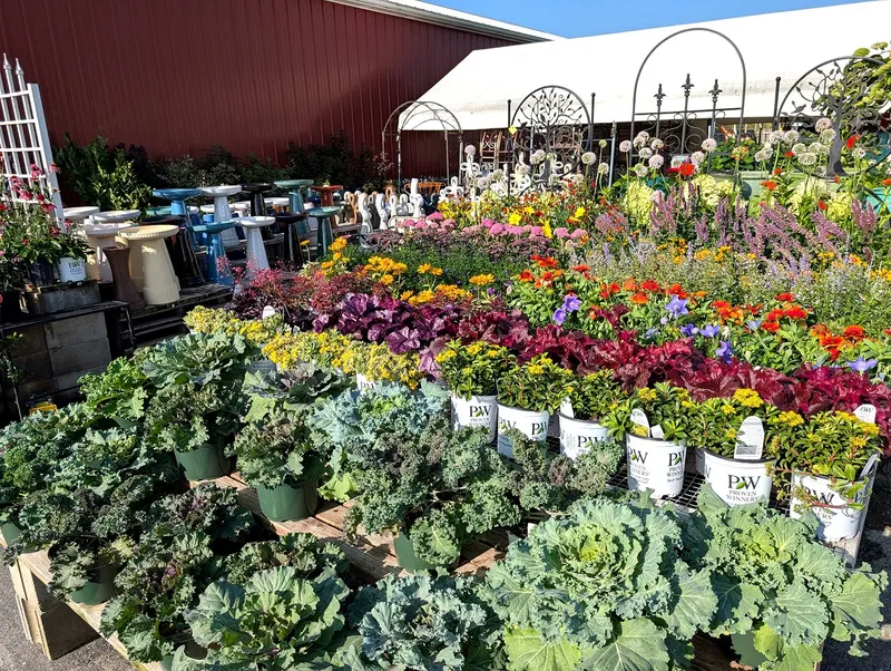 Warmbier Farms