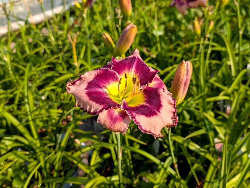 Warmbier Farms photo