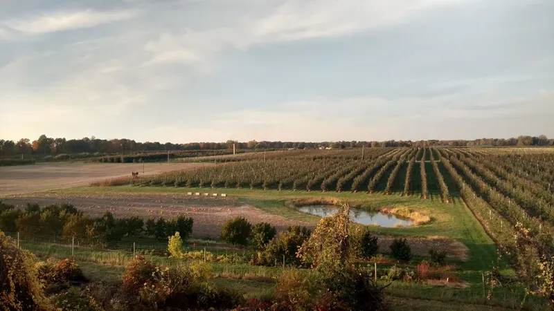 Wells Orchards