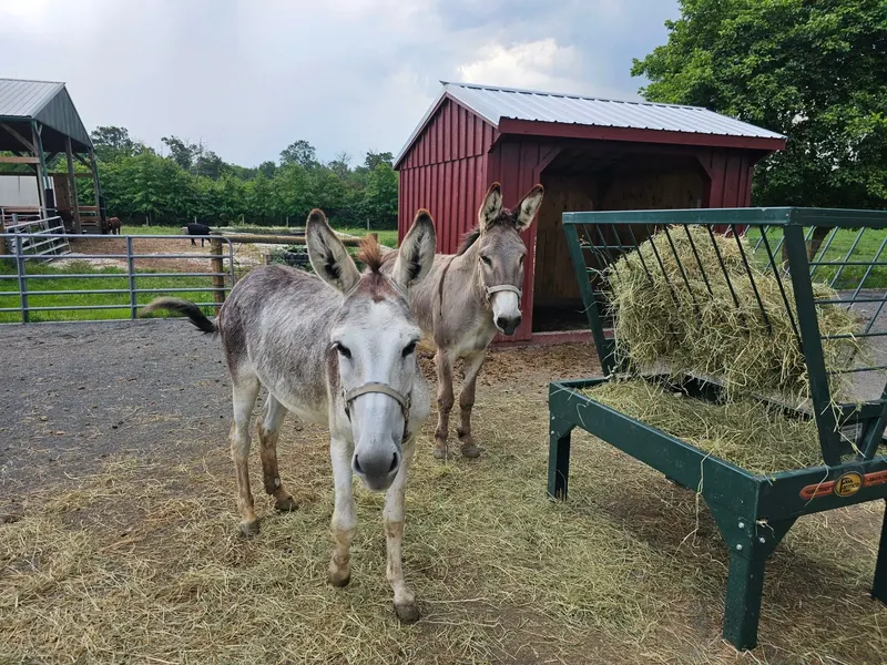 Abma's Farm