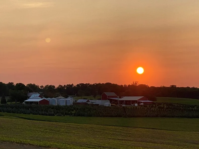 Bullock Farms